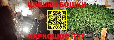 шишки Тверь
